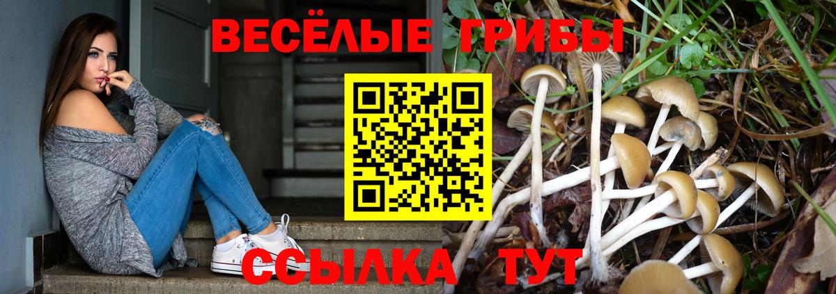 Псилоцибиновые грибы MAGIC MUSHROOMS  Вход с VPN  Псилоцибиновые грибы мухоморы  Кисловодск 